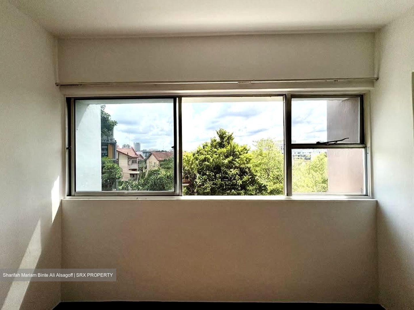 Lakeview Estate (D20), Apartment #566175811